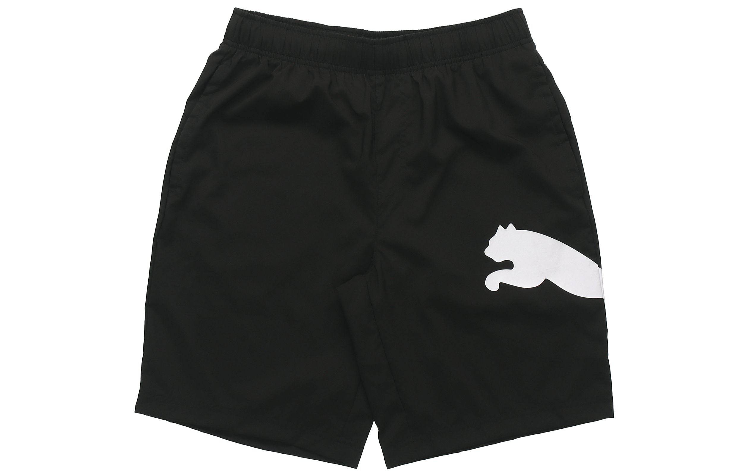 Шорты мужские Puma ESS Logo Print - Boxette Shop